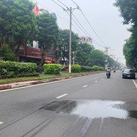 Giảm 5 Tỷ! Bán Gấpmặt Tiềnkinh Doanh Đường Bàu Cát - Dt: 5.5 X 25M, Cn: 120M - Kc: 2 Tầng - Giá: 19 Tỷ