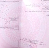 Cần Bán Đất Vườn Diện Tích Lớn 2017.1 M2 Tại Bình Lộc - Cây Da, Long Khánh, Đồng Nai - 2,9 Tỷ