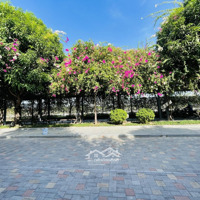 Top Nhà Đất Bán Kđt Vcn Phước Hải Tp Nha Trang 2025