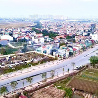 Bán Ô Đất Dv Lại Yên Giá Cực Hợp Lý Ạ. Ko Ô Nào Hợp Lý Hơn