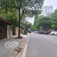 Biệt Thự Siêu Vip ** Gần Công Viên Cầu Giấy ** Khu Đtm Dịch Vọng . Hiếm Nhà Bán. Thang Máy 5 Tầng