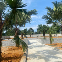 Chỉ 3Xxtr / Nền, Full Thổ Cư, Đường Ô Tô Tránh.