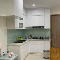 Cho Thuê Căn Hộ Chung Cư 55M2 2N1Vs Tầng 5 Toà S101 Vinhomes Smart City