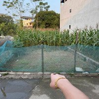 Bán Gấp Đất Nền Tại Thôn Kim Bông, Tân Xã, Thạch Thất, Hà Nội, Giá Bán 5,28 Tỷ, 120M2