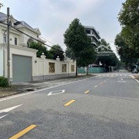 Cần Bán Lô Đất 100M2/ 590 Triệu, Tại Đ. Ntmk, Phú Hoà, Tdm, Cách Trường Tiểu Học Phú Hoà 2 Khoảng 500M