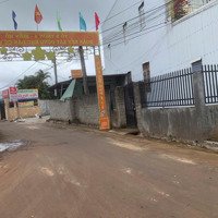 Chính Chủ Bán Đất Tại 23/11 Phạm Hùng, Biển Hồ, Pleiku, 242M2 Đất
