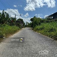 Bán Nhanh Đất Nền Gần Trường Thpt Nguyễn Đình Chiểu, Mỹ Lộc, Cần Giuộc, Long An, 158M2, Chỉ 5Xx