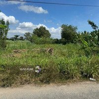 Bán Nhanh Đất Nền Gần Trường Thpt Nguyễn Đình Chiểu, Mỹ Lộc, Cần Giuộc, Long An, 158M2, Chỉ 5Xx