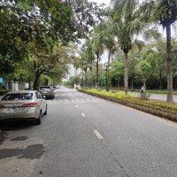 Bán Biệt Thự Kđt Ciputra, 230M2 Mặt Tiền 10M 66,6 Tỷ