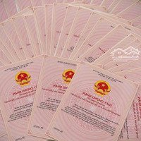 Chỉ 5 Lô Duy Nhất Và Đẹp Nhất Mtđ Đt769 - Trục Chính 45M Vào Sân Bay Long Thành, Ưu Đãi Khủng 200 Triệu