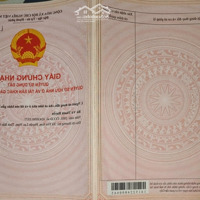 Chính Chủ Cần Tiền Nên Bán Gấp Lô Đất Tại Tt Quất Lâm Với Giá Bán 1 Tỷ, Rẻ Nhất Thị Trấn. Full Thổ Cư