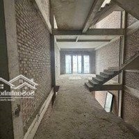 Cho Thuê Nhà Liền Kề Khu Louis Hoàng Mai