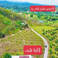 Quốc Oai-Đạ Tẻh-Lâm Đồng Trên 300M2 Sẵn 75M2 Thổ Cư Bám Đường Bê Tông Gần Ubnd Và Trường Chỉ 2Xxtr