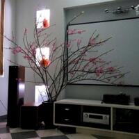 NHÀ ĐẸP - AN SINH ĐỈNH - SỞ HỮU NGAY