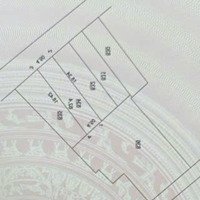 Trục Chính Chợ Gường Phúc Am Duyên Thái - Giáp Thanh Trì Kinh Doanh Đỉnhdiện Tích: 82.4M