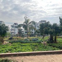 Thỏa Thuận
Cần Bán 2 Lô Liền Kề Nhìn Vườn Hoa Bò Sơn 3, Tp Bn. Giá Thỏa Thuận