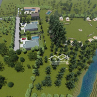 Cần Bán Lô Đất Vườn Rộng 3500M2 Có 300M2 Đất Ở Xã Hòa Ninh Mặt Tiền Phía Sau Suối,Giá Đầu Tư.