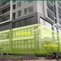 Hàng Hiếm Bán Căn Shophouse Cc Berriver Long Biên, Giá Nhỉnh 17 Tỷ, Đang Cho Thuê Gần 100 Triệu/Th