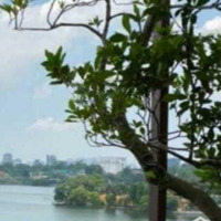 Bán Nhà Riêng Tại Vũ Miên, Yên Phụ, Tây Hồ, Hà Nội 66 Tỷ, 75M2