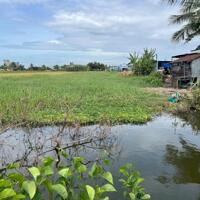 B.á.n nhanh 4,2 công đất vườn giá 1,1 tỷ, gần nhựa HL07 Tân Thành, Gò Công Đông, Tiền Giang.
