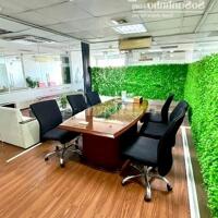 [HOT 03/25] Văn Phòng Làm Việc Tại Q1, Giá Chỉ 6,5 Triệu/Tháng