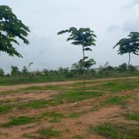 Bán đất xây dựng xưởng 2.2ha KCN Giang Điền, Đồng Nai