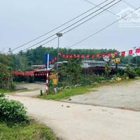 BÁN LÔ ĐẤT ĐƯỜNG TRƯNG NỮ VƯƠNG THỦY PHƯƠNG HƯƠNG THỦY TP HUẾ  Diện tích 168m2 ngan 5m