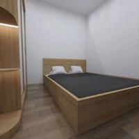 Bán căn hộ chung cư mini Vũ Tông Phan, quận Thanh Xuân 32m giá 1.24 tỷ, phôi sổ riêng