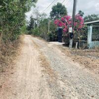 Bán 3.1 sào Tân Phước, Lagi, Gần Trung Tâm Giá Rẻ