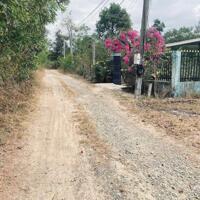 Bán 3.1 sào Tân Phước, Lagi, Gần Trung Tâm Giá Rẻ