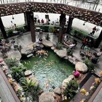 Bán quán cafe phường Bình Hòa Thuận An Bình Dương