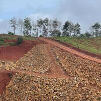 BÁN ĐẤT 7HA – CÓ AO, ĐẬP TRÀN, CÀ PHÊ & MẮC CA – VỊ TRÍ ĐẸP
