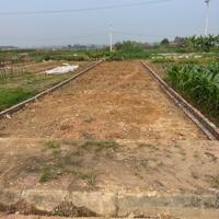 Sở hữu ngay lô đất nền 125m2 cực đẹp, duy nhất tại xuân lộc - thanh thủy - phú thọ