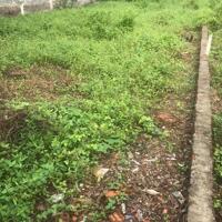 Bán gấp 287m Đất Mặt Tiền Kinh Doanh Đường Linh Đông thành phố Thủ Đức