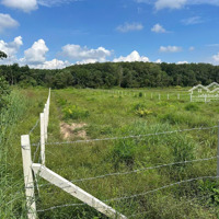 Chủ Cần Bán Lô Đất Nhà Vườn Sau Suối Diện Tích 1000M2 Giá Bán 350 Triệu Sổ Sẵn Liên Hệ: 0963995471