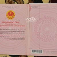Ngũ Tượng Khải Hoàn-Chỉ Còn 200 Lô Đẹp Như Trong Tranh-Sở Hữu Ngay Chỉ Từ 700 Triệu-Thu Nhập 12 Triệu/Tháng