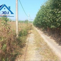 Gia Đình Cần Bán Đất Xã Trị An, Huyện Vĩnh Cửu, 3000 M2, Chỉ 1 Tỷ 550 Triệu