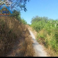 Gia Đình Cần Bán Đất Xã Trị An, Huyện Vĩnh Cửu, 3000 M2, Chỉ 1 Tỷ 550 Triệu