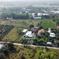 Bán Trang Trại 1000M2 Ở Vĩnh Thanh, Nhơn Trạch, Đồng Nai, Giá Ưu Đãi 2,3 Tỷ