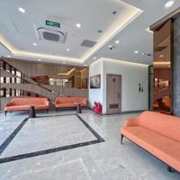 Cho Thuê Căn Hộ The Pavilion Vinhomes Ocean Park Căn Hộ Cho Thuê Mới Tiện Nghi Đẳng Cấp!