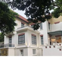 Cho Thuê Nhà Phố Quang Trung 240 M2, Mặt Tiền 15 M, Nhà 3 Tầng Phù Hợp Mọi Mô Hình Kinh Doanh