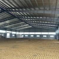 Cho Thuê Kho Xưởng Cụm Cn Kim Động 2500M2 - 4500M2 - 20000M2