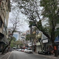 Bán Nhà Mặt Phố Sơn Tây, 55,5 Tỷ, 123M2, 9 Phòng Ngủ 9 Vệ Sinh Giá Siêu Hời, Uy Tín, Ba Đình, Hà Nội