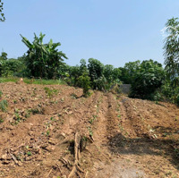 Chính Chủ Bán Siêu Phẩm Đất 2496M (400M Thổ Cư) Tại Trung Sơn, Lương Sơn, Hòa Bình , Hơn 4 Tỷ