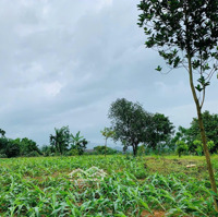 Chính Chủ Bán Siêu Phẩm Đất 2496M (400M Thổ Cư) Tại Trung Sơn, Lương Sơn, Hòa Bình , Hơn 4 Tỷ