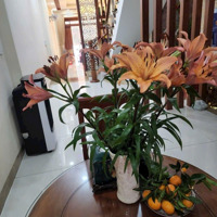 Bán Nhà 4 Tầng Đường Nhánh Lã Xuân Oai, P. Tăng Nhơn Phú A, Quận 9 - Diện Tích: 100M2 - 6Pn