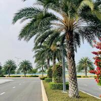 Bán đất thổ cư 90m2, Xã Thanh Phú, Bến Lức, Long An - Sổ Hồng