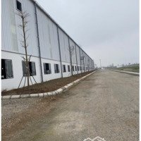 Cho Thuê Kho Xưởng Tại Huyện Tiên Lữ 6000M2