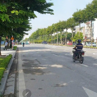 Liền Kề - Phân Lô - Kinh Doanh - Vỉa Hè - Ô Tô Tránh, Dừng Đỗ, Vào Nhà