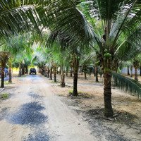 Bán Giá Ngộp 1000M2 Đất Thổ Cư - Đường Vào 10M, Thông Ra Quốc Lộ Gần Ngã Tư Dầu Giây.